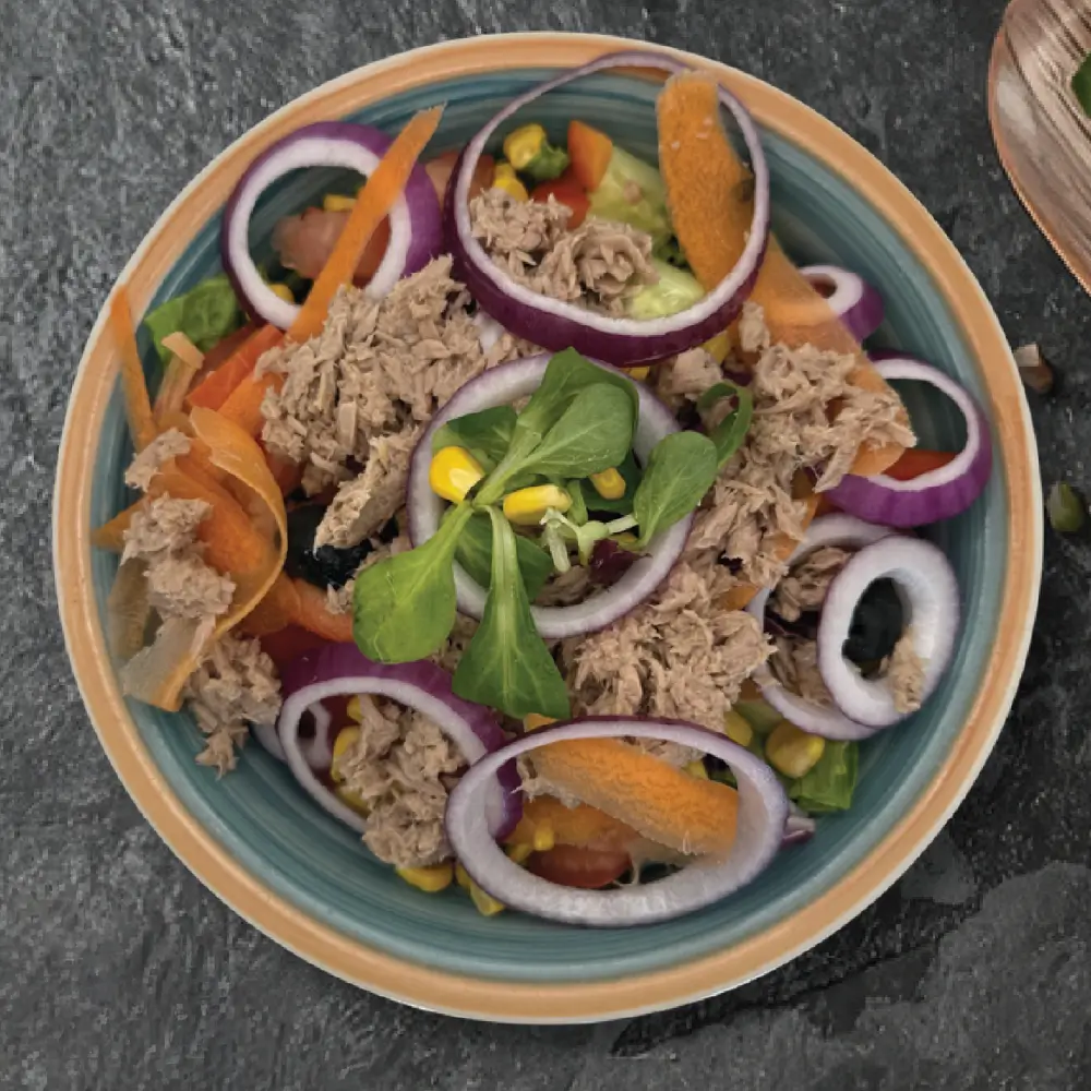 Salata s tunom